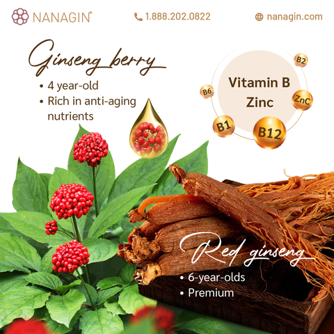 [Dr Ginseng Berry] Korean Ginseng Berry Drink GB60 60 Days - Thuy Nhung Shop