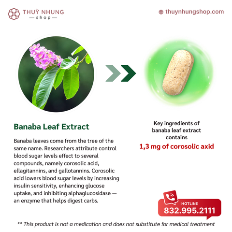 [FromBIO] Lá Banaba cho lượng đường trong máu