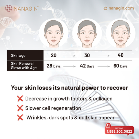 [NANAGIN] GF-X Growth Factors Ampoule