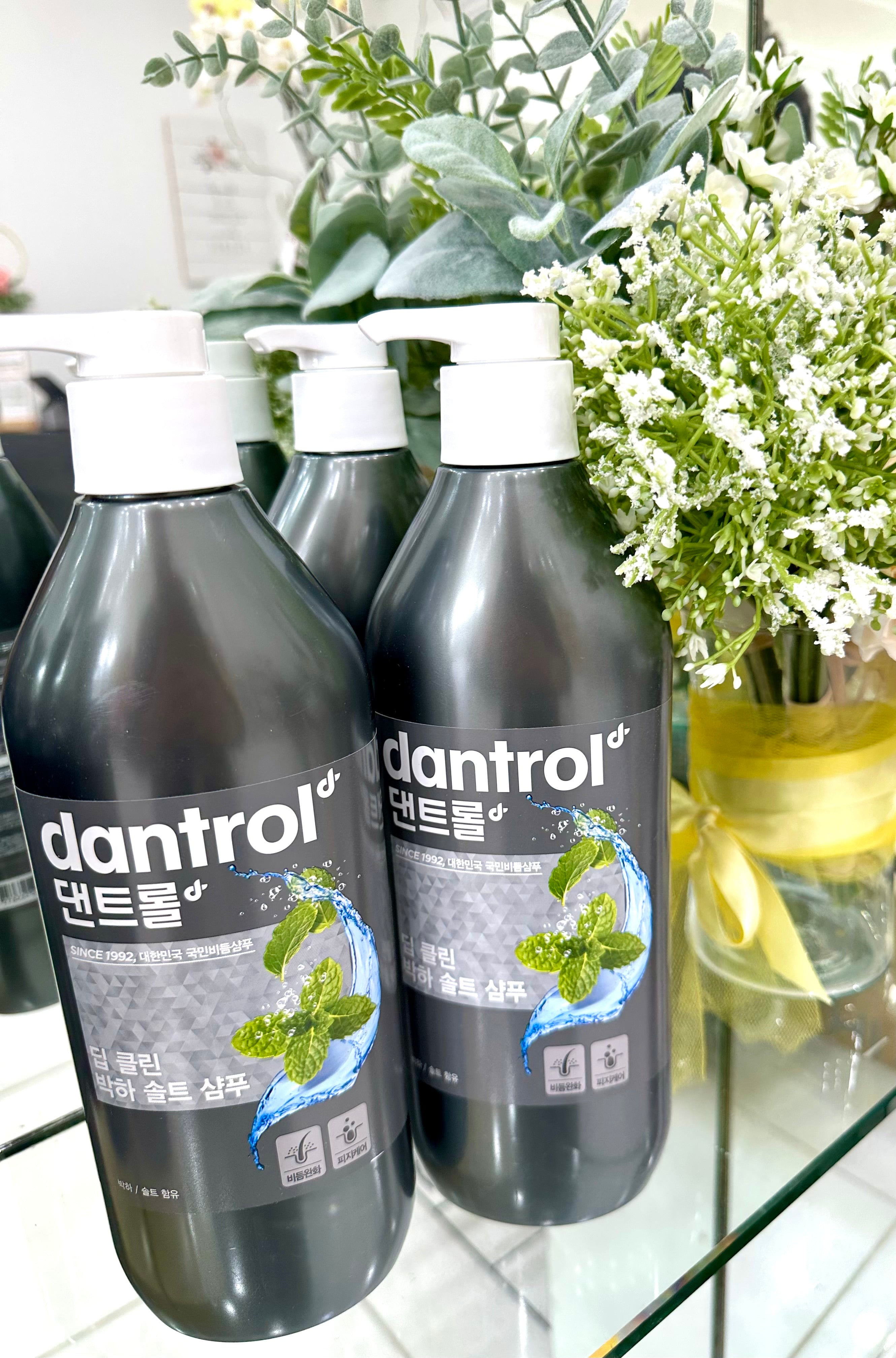 [DANTROL] Deep Clean Menthol Salt Shampoo