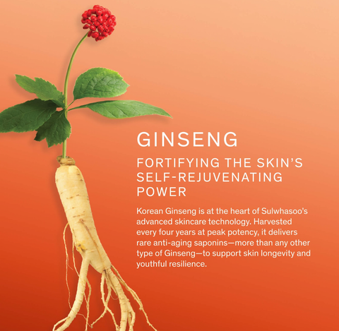 [SULWHASOO] Concentrated Ginseng Rejuvenating Serum