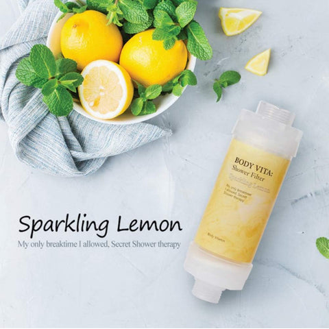 [BODY VITA] Vitamin Shower Filter