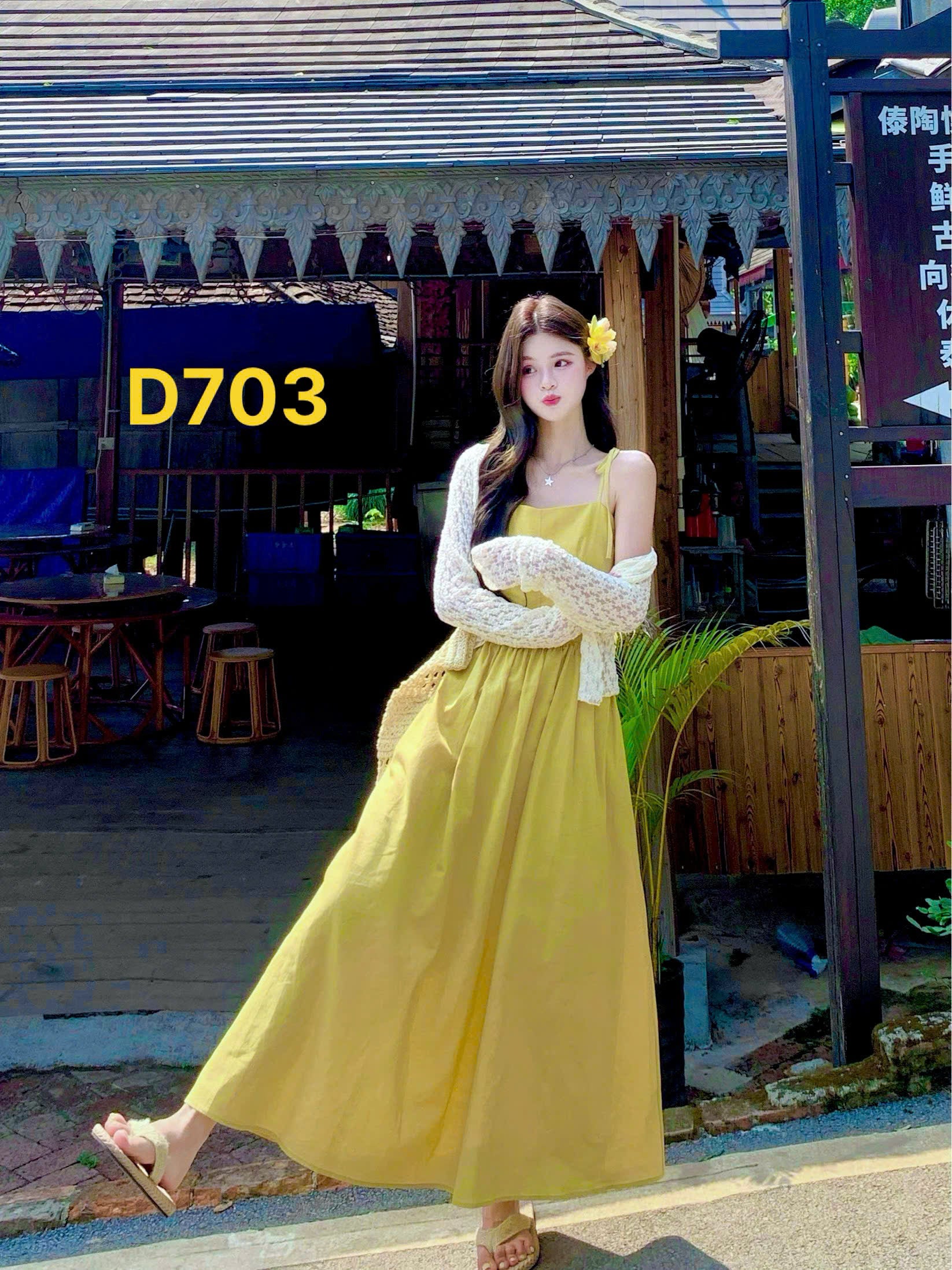 Dress D703 - Thuy Nhung Shop