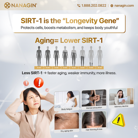 [Dr Ginseng Berry] Nước uống nhân sâm Hàn Quốc GB60 60 ngày