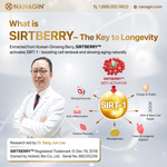 [DR GINSENG BERRY] Korean Ginseng Berry Drink GB60 60 Days - Thuy Nhung Shop