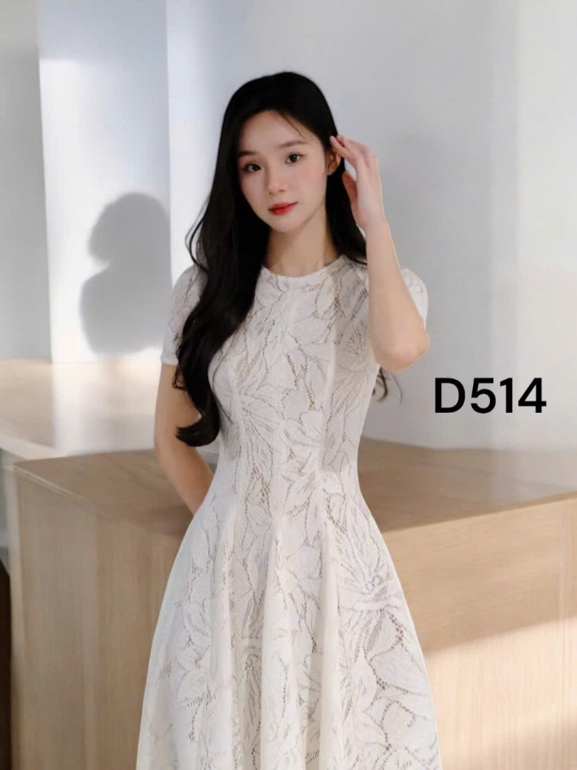 Dress D514 - Thuy Nhung Shop