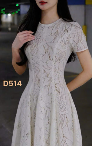 Dress D514 - Thuy Nhung Shop