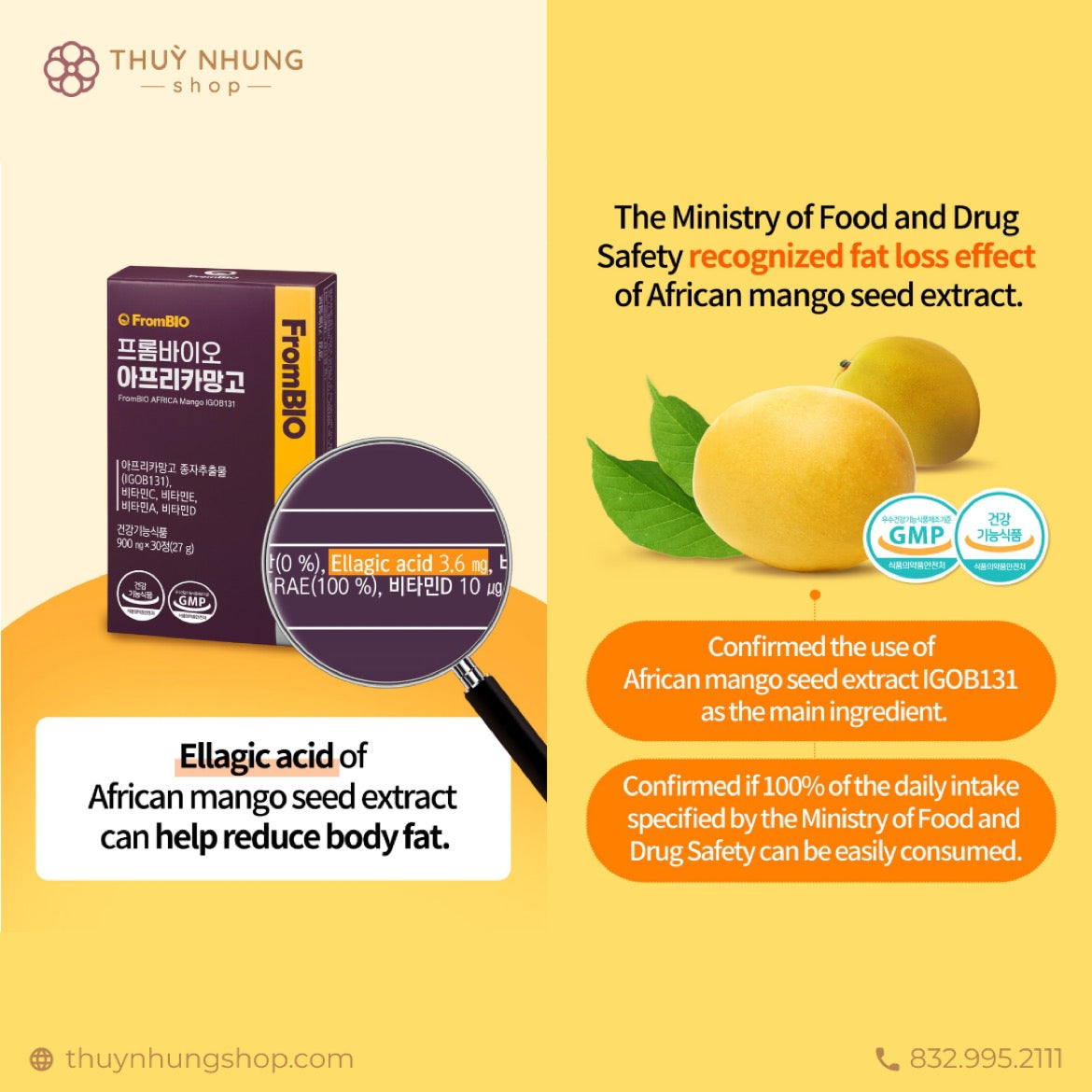 [ FROMBIO ] Anfrica Mango Diet Pills - Thuy Nhung Shop
